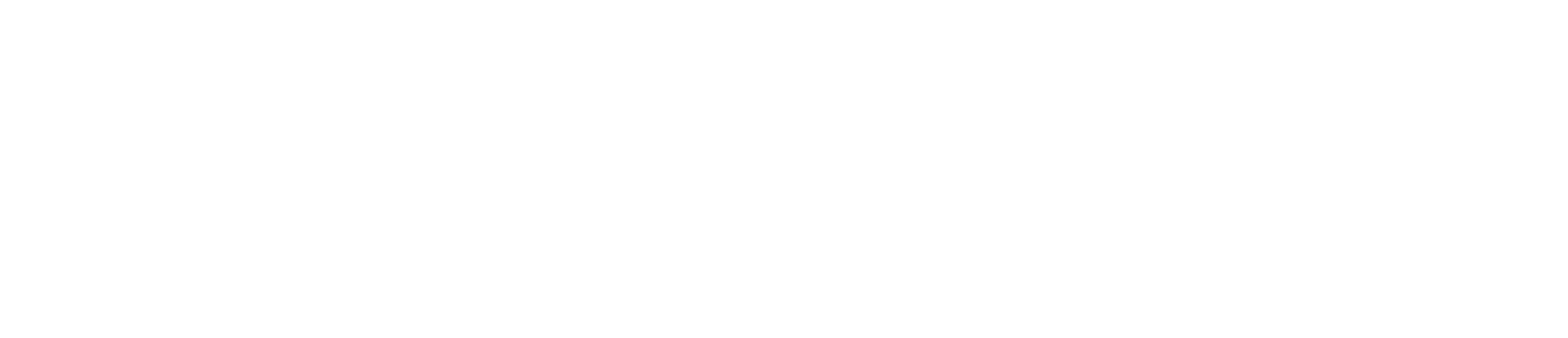 Logo 9
